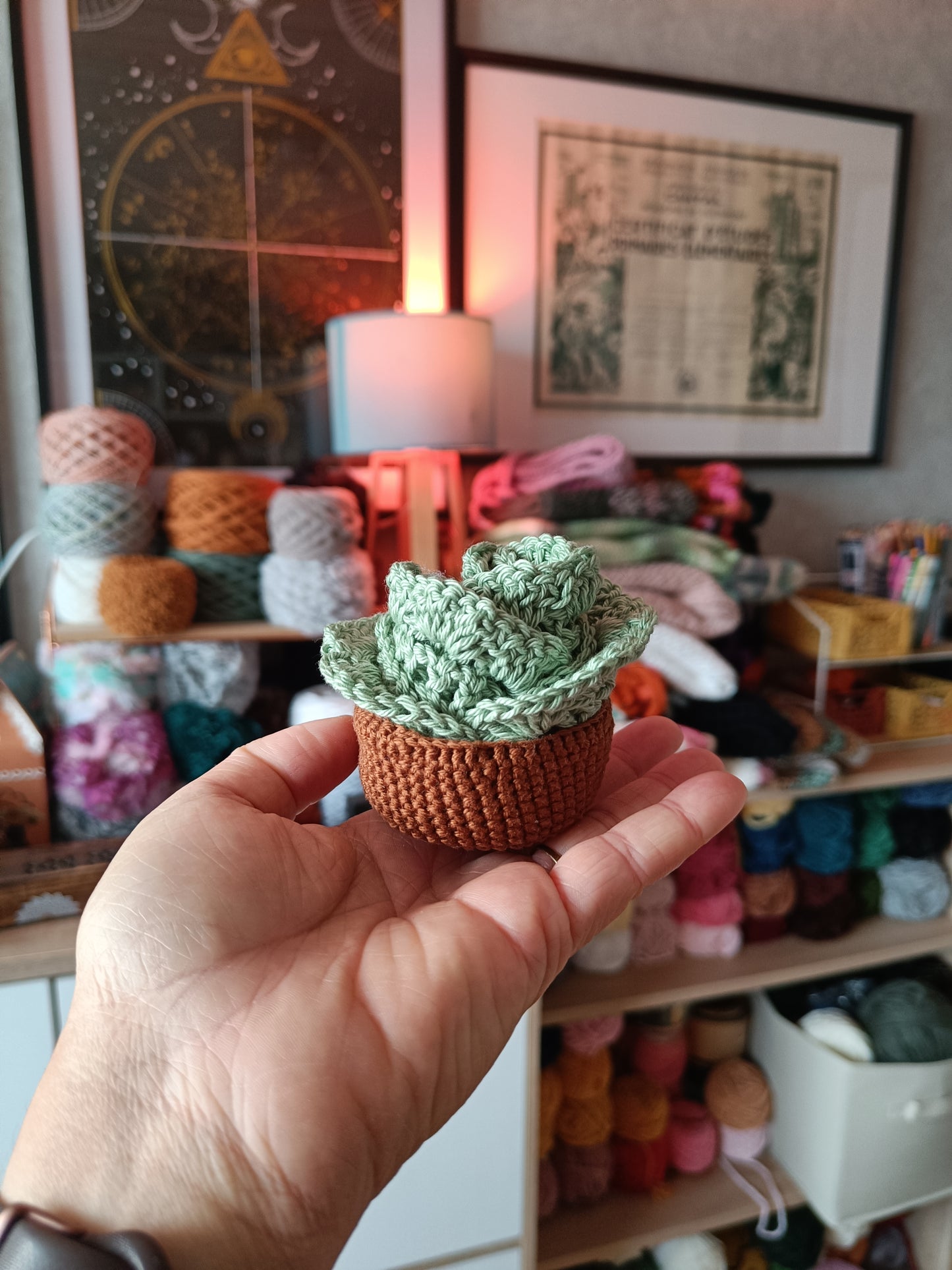 Set de dessous de verre - pot de fleurs - vert pastel