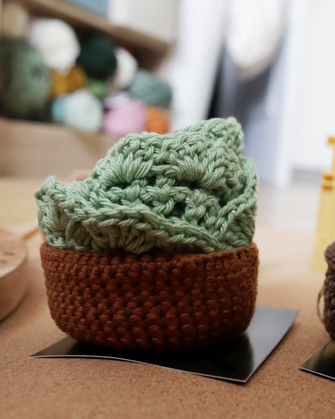 Set de dessous de verre - pot de fleurs - vert pastel