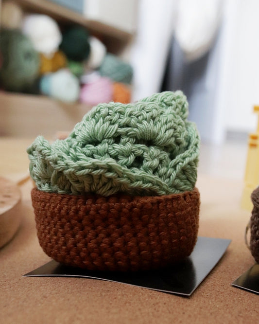 Set de dessous de verre - pot de fleurs - vert pastel